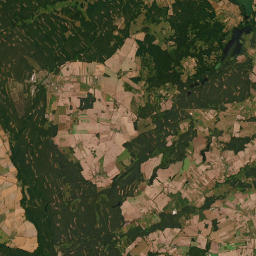 Satelita