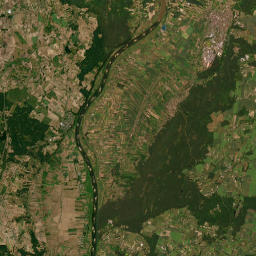 Satelita