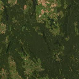 Satelita