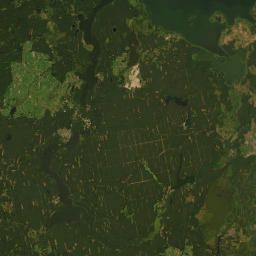 Satelita