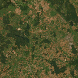 Satelita