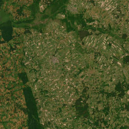 Satelita