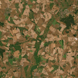 Satelita