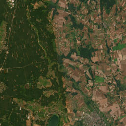Satelita