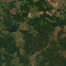 Satelita