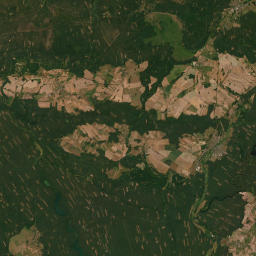 Satelita