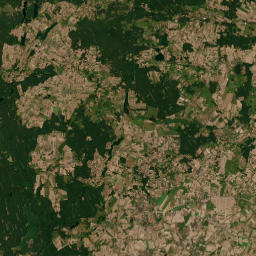 Satelita
