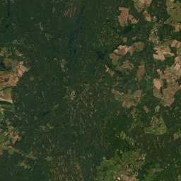 Satelita