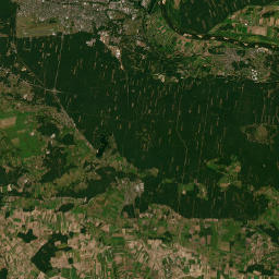 Satelita