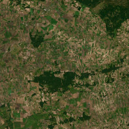 Satelita