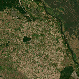 Satelita