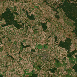 Satelita