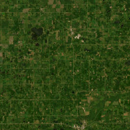 169th Avenue, Gonvick, MN 56644, USA Satellite Map