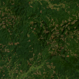 3770-3776 Highway 4, Grays River, WA Satellite Map