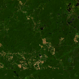 WI-55 White Lake WI 54491 America Satellite Map