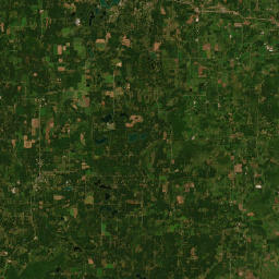 545 Main Street, Wild Rose, WI 54984 Satellite Map