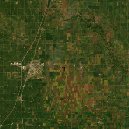 203 W Arnold Ave Thomasboro I Satellite Map