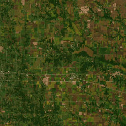 State Highway County 111, Leonard, MO Satellite Map