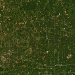 41100-41198 Perry Fishhook Road, Griggsville Satellite Map