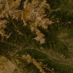 Pike National Forest Mount Evans Road Evergreen CO Satellite Map