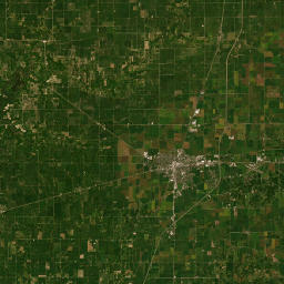 699 S 1st St, Gays, IL 61928 Satellite Map