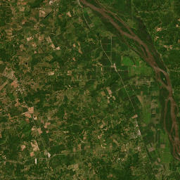 Mississippi River Road, Nebo, IL 62355, USA Satellite Map