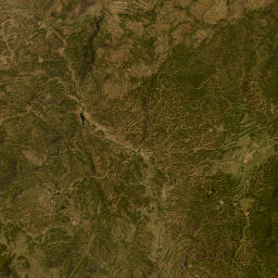 County Road 96, Pike National Forest, Florissant Satellite Map