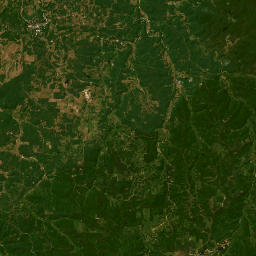 997-1021 Missouri 49, Mark Twain National Satellite Map