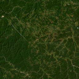 Chimney Top Rock Road, Daniel Boone National Forest, Pine Rid Satellite Map