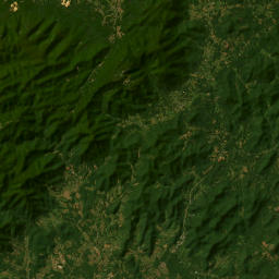 11034 Patrick Henry Highway, Roseland, VA Satellite Map