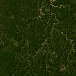 Spurlock Creek Road, Prestonsburg, KY  Satellite Map