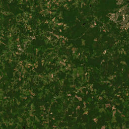 19229-19231 Patrick Henry Highway, Amelia Court House Satellite Map