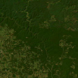 Highway 19, Mark Twain National Forest Satellite Map