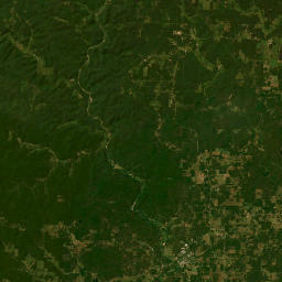 5th St, Grandin, MO 63943 Satellite Map