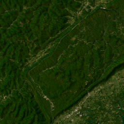 301-399 E Central Ave, La Follette, TN Satellite Map