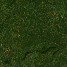 501 Main Street, Danbury, NC 27016 Satellite Map