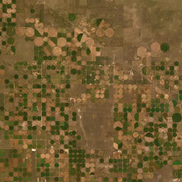 Dallam, TX, USA Satellite Map