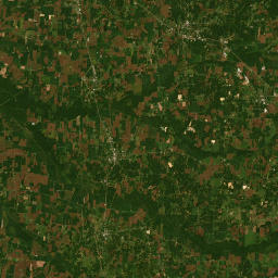 Bradford, TN 38316, USA Satellite Map