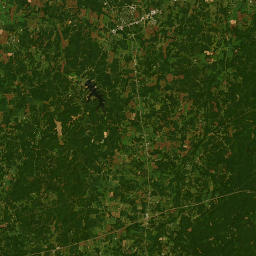 1110 Poplar Springs Road, Huntingdon, TN Satellite Map