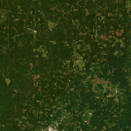 101-199 U.S. 425, Hamburg, AR 71646 Satellite Map