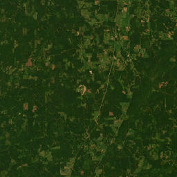 Interstate 55, Durant, MS 39063, USA Satellite Map