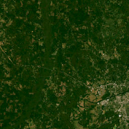 Mitt Lary Road, Tuscaloosa, AL 35401 Satellite Map