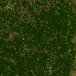 17665 Munnerlyn Chapel Road, Ida, LA Satellite Map