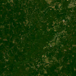 Interstate 59, Fosters, AL 35463, America Satellite Map