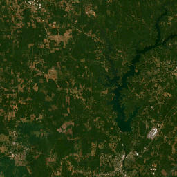 14176-14508 Alabama 1 La Fayette AL Satellite Map