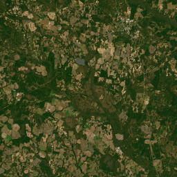 Georgia 56, Midville, GA 30441, USA Satellite Map