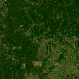 Lloyd Chapel Road, Forkland, AL 36740 Satellite Map