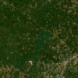 Auburn University 114 South College Street Satellite Map