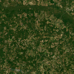 Morris Road, Millen, GA 30442, USA Satellite Map