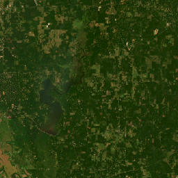 Bistineau Lake Rd, Ringgold, LA map(satellite map)